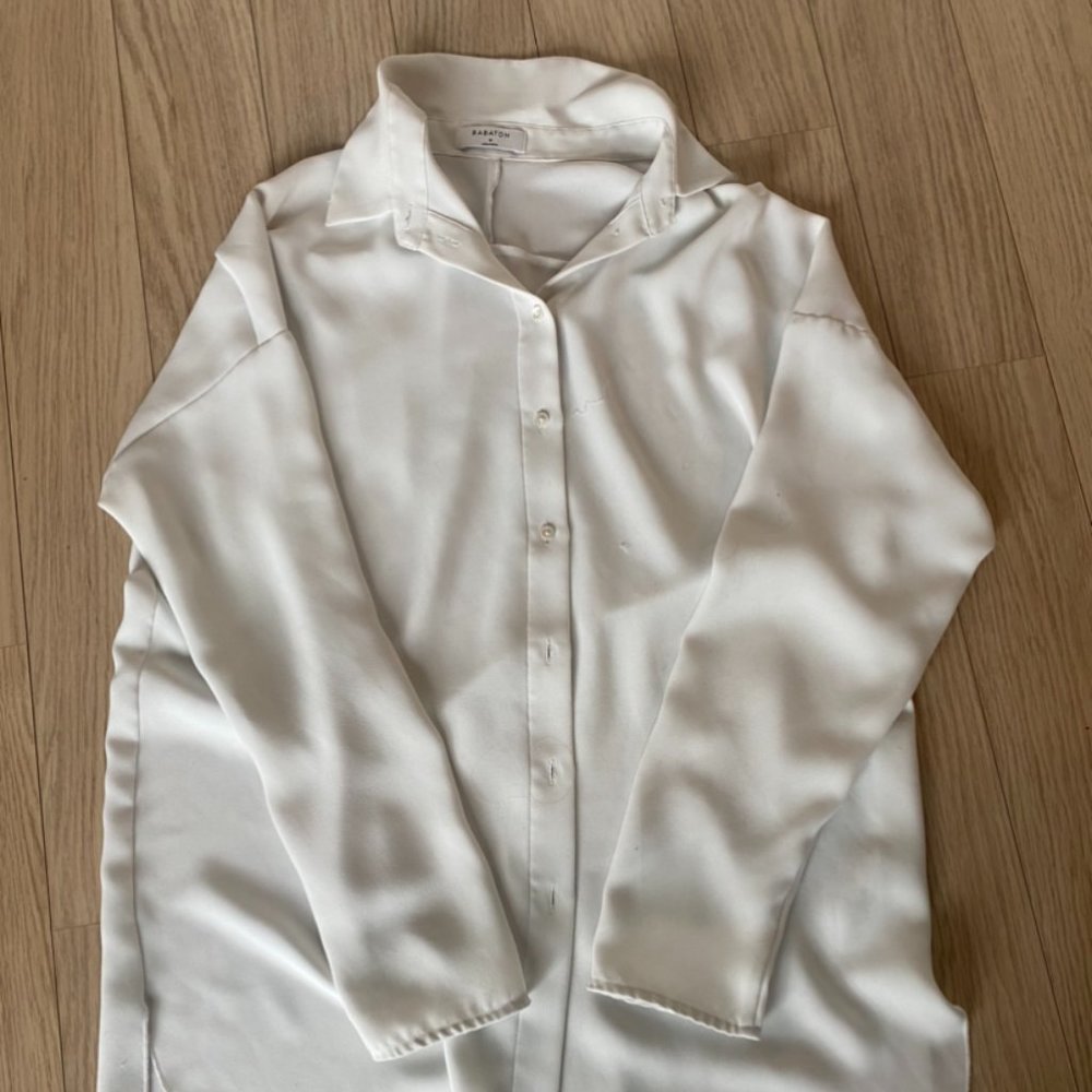 Aritzia Babaton Collared Blouse
